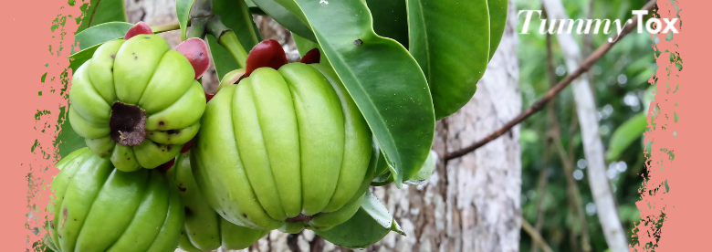Garcinia : le fruit minceur magique !
