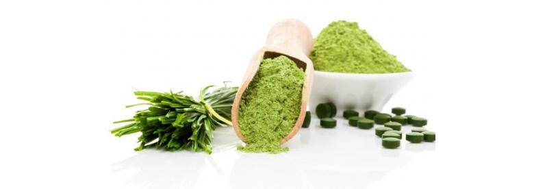 L'ALGUE : voici 5 bienfaits de ce superaliment !